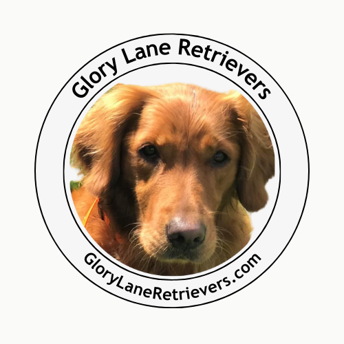 Glory Lane Twill Cap